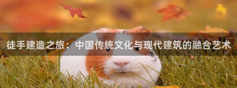 28圈资讯官网入口：徒手建造之旅：中国传统文化与现代建筑的融合艺术