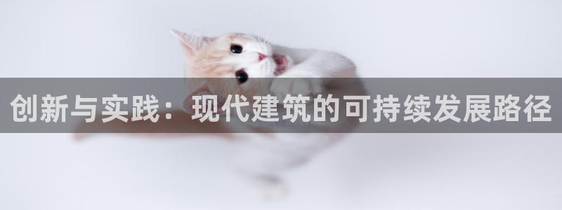 28圈官：创新与实践：现代建筑的可持续发展路径
