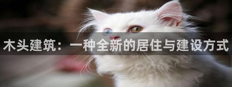 28圈垫付金额：木头建筑：一种全新的居住与建设方式