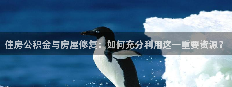 28圈资讯官网入口：住房公积金与房屋修复：如何充分利用这一重要资源？