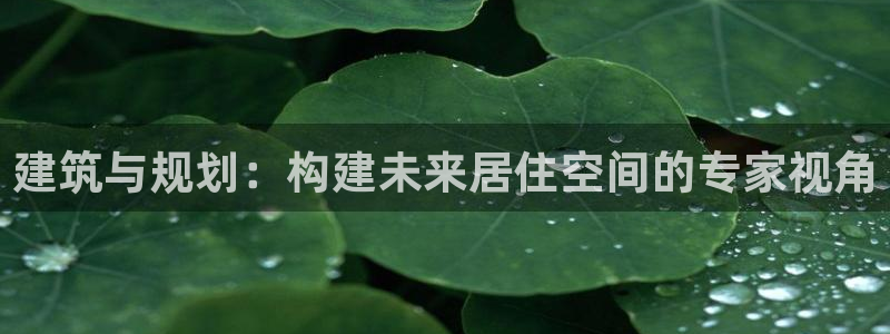 28圈简介图片：建筑与规划：构建未来居住空间的专家视角