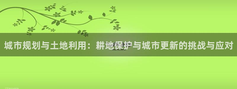 28圈游戏上分地址：城市规划与土地利用：耕地保护与城市更新的挑战与应对