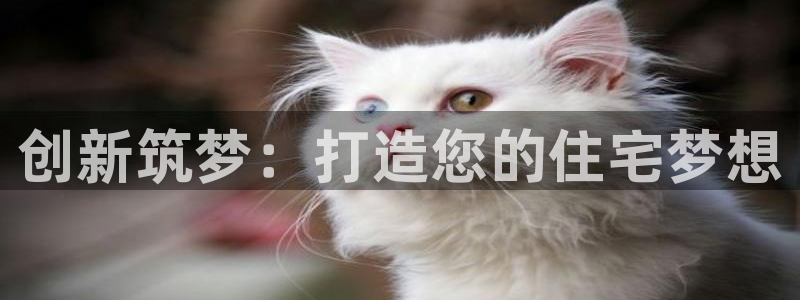 28圈网：创新筑梦：打造您的住宅梦想