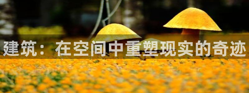 28圈赛：建筑：在空间中重塑现实的奇迹