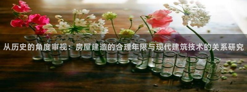 28圈系统：从历史的角度审视：房屋建造的合理年限与现代建筑技术的关系研究