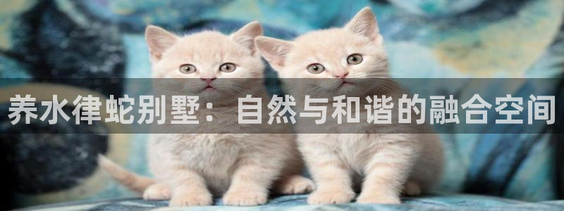 28圈中国：养水律蛇别墅：自然与和谐的融合空间