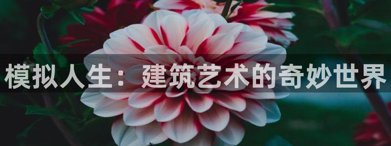 28圈游戏软件：模拟人生：建筑艺术的奇妙世界