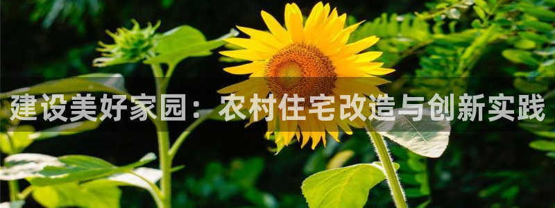 28圈理财logo：建设美好家园：农村住宅改造与创新实践