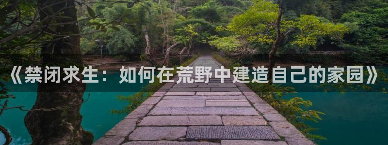 28圈币：《禁闭求生：如何在荒野中建造自己的家园》