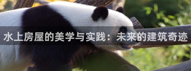 28圈游戏大厅下载：水上房屋的美学与实践：未来的建筑奇迹