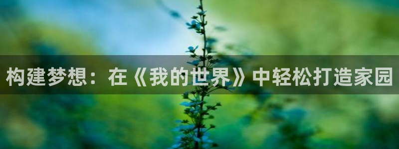 28圈大厅有挂吗：构建梦想：在《我的世界》中轻松打造家园
