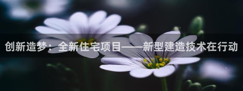 28圈系统：创新造梦：全新住宅项目——新型建造技术在行动