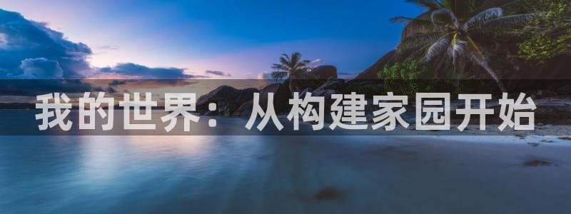 28圈大厅透视：我的世界：从构建家园开始