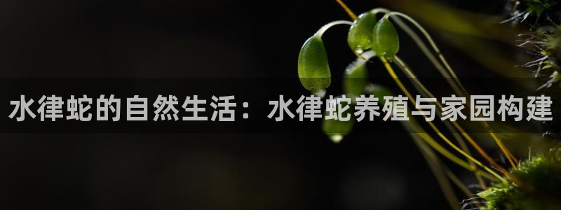 28圈系统：水律蛇的自然生活：水律蛇养殖与家园构建
