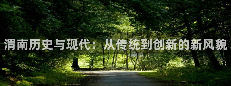 怎么下载28圈大厅：渭南历史与现代：从传统到创新的新风貌