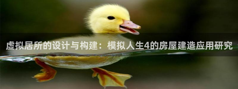 吉林28圈：虚拟居所的设计与构建：模拟人生4的房屋建造应用研究