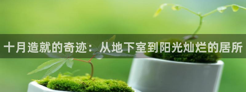 28圈登录：十月造就的奇迹：从地下室到阳光灿烂的居所