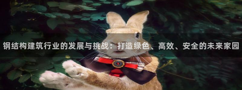 28圈管理集团：钢结构建筑行业的发展与挑战：打造绿色、高效、安全的未来家园