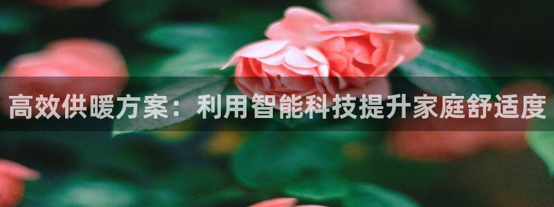 28圈系统：高效供暖方案：利用智能科技提升家庭舒适度